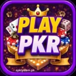 Play Pkr Game