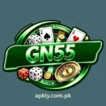 GN55 Game